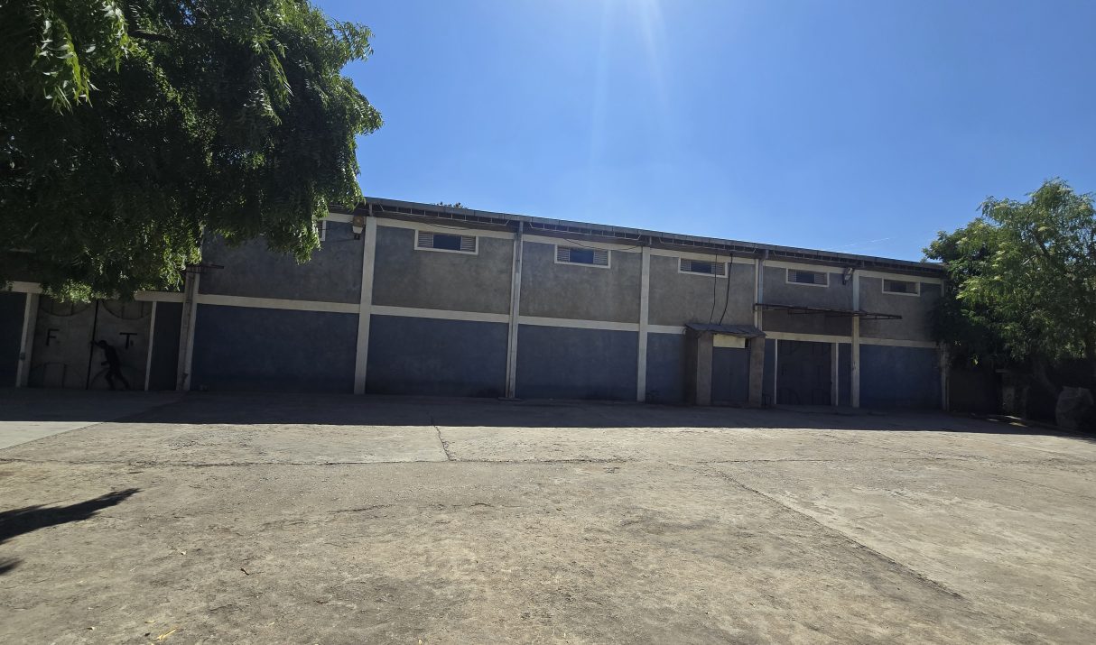 Top Arabica Coffee Exporter Ethiopia