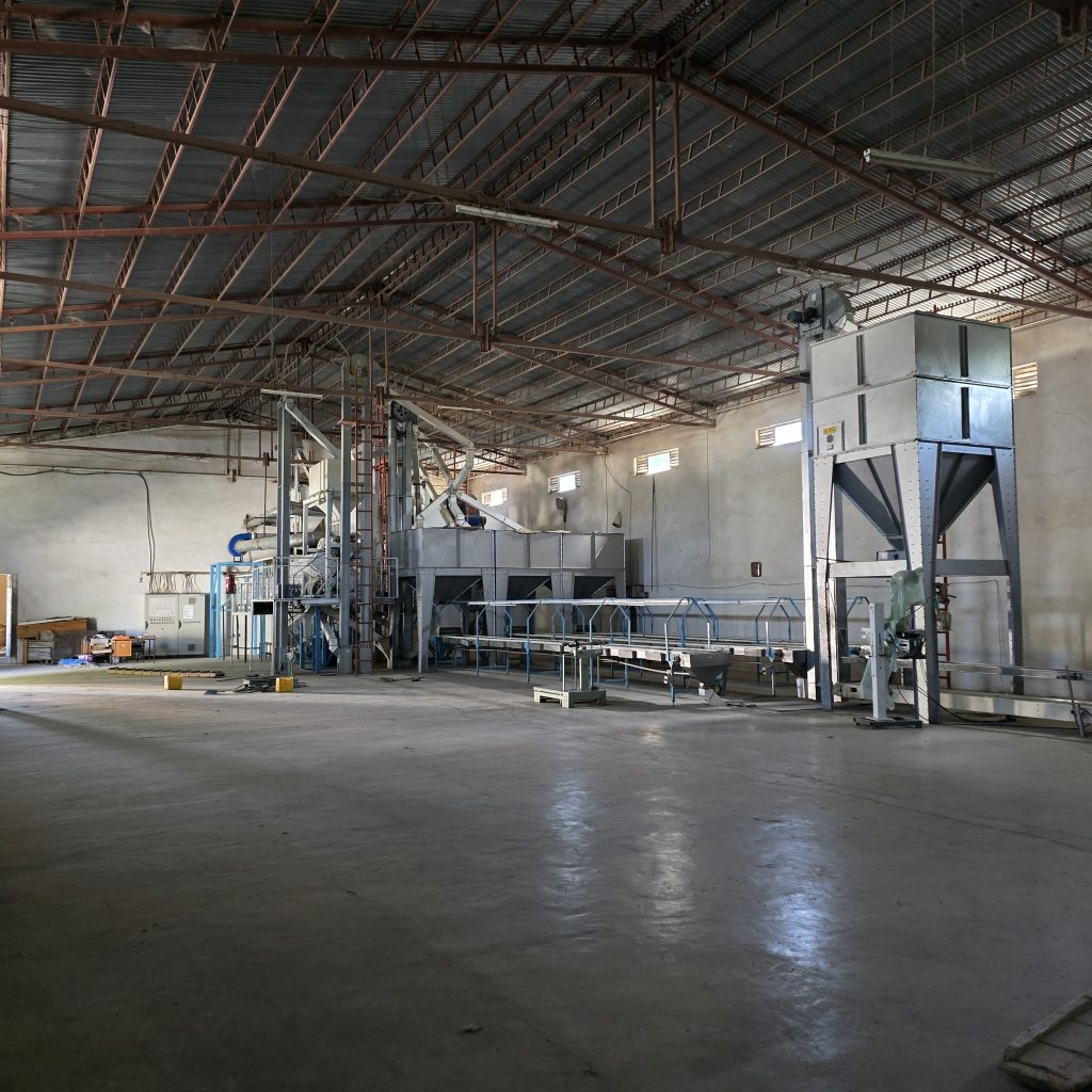 DAS Coffee Export Processing1