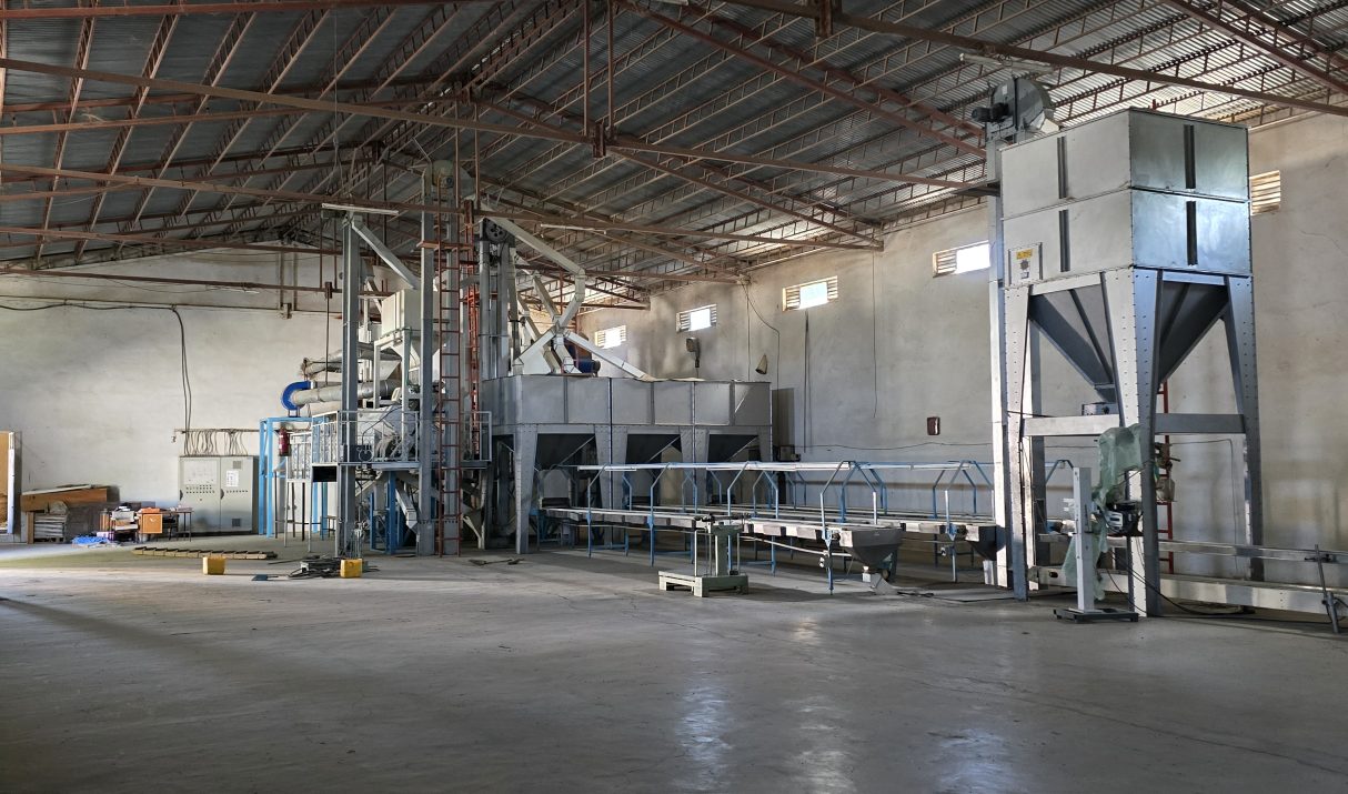 How Coffee is Graded in Ethiopia?