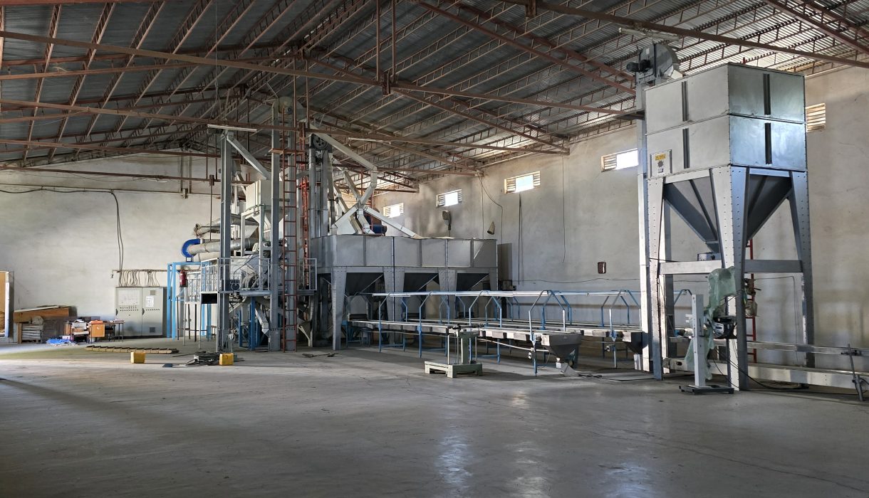 DAS Coffee Export Processing1