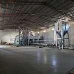 DAS Coffee Export Processing1